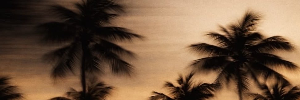 vlirt0's profile banner image