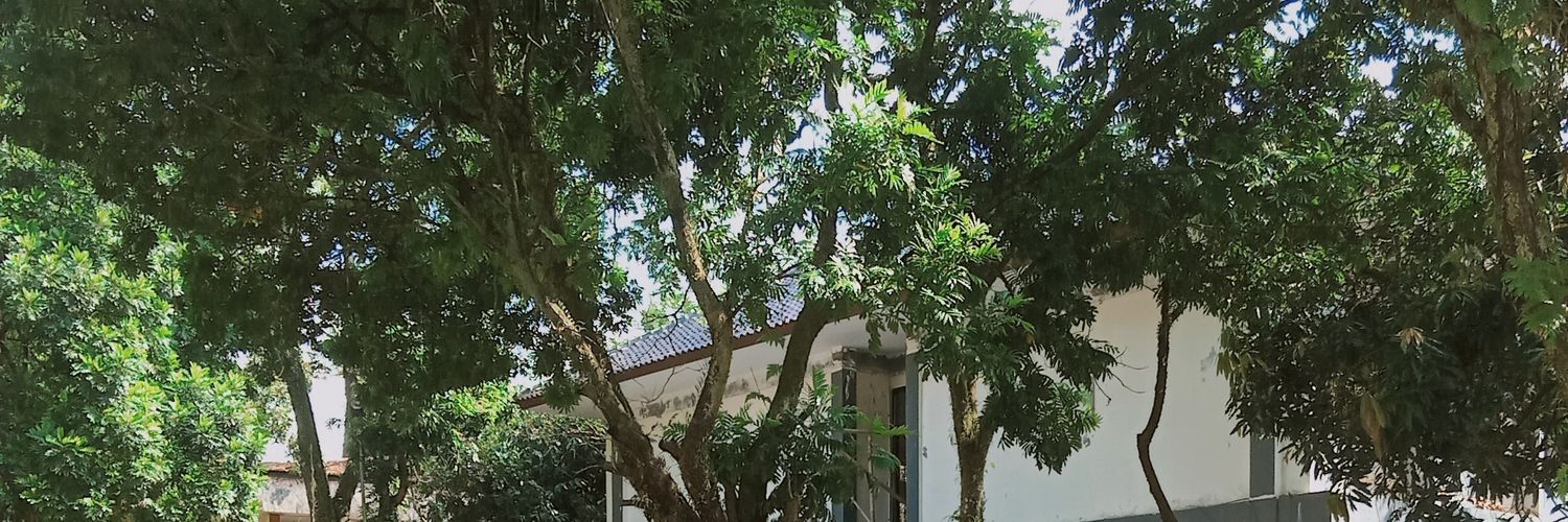 Bellaolisdaa's profile banner image