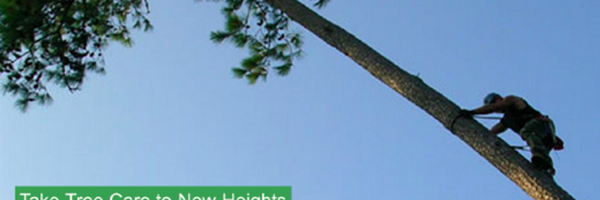 ArborWizard Profile Banner
