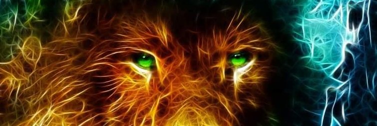 Franmflook's profile banner image
