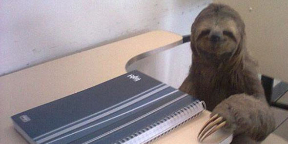 Josh Blumberg banner