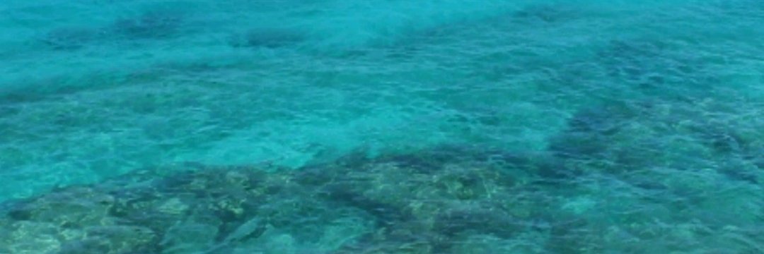 Ina Tessnow-von Wysocki banner