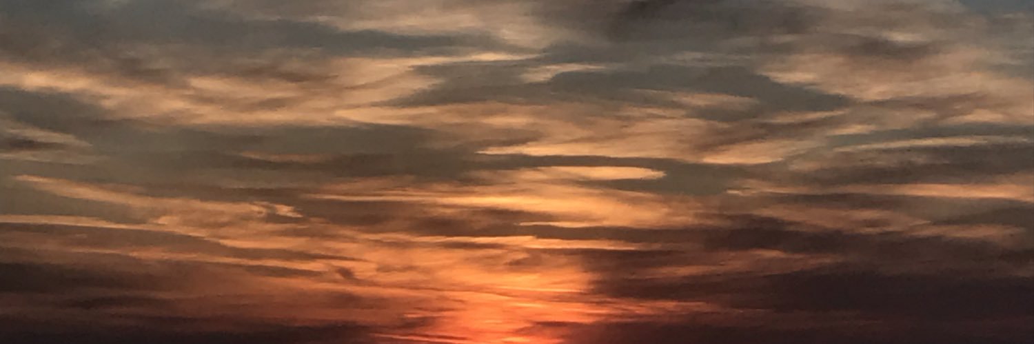 utkuerguder's profile banner image