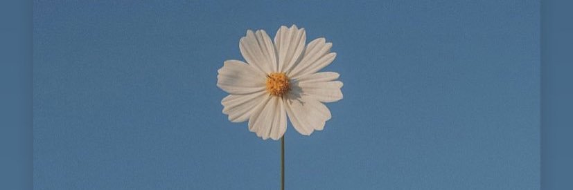 🌼นุ้งนัชชา♡🌼 banner