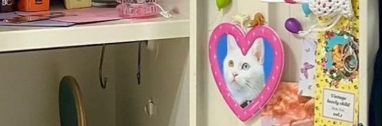 jennphoria's profile banner image