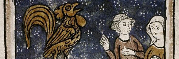 Chicken Magnus, Poultry Crusader. banner