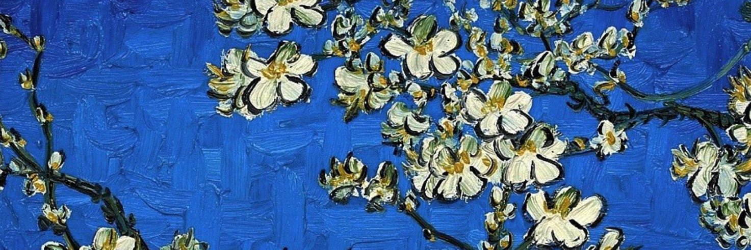 micagioia's profile banner image