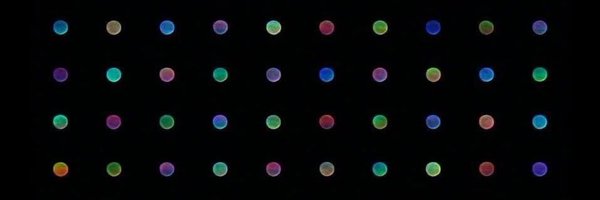 sociologagodin Profile Banner
