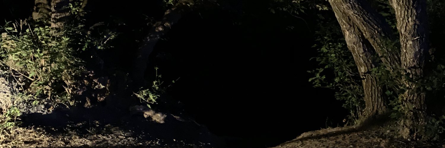 RotomLover's profile banner image