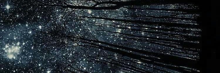 Andreita_VaVa's profile banner image