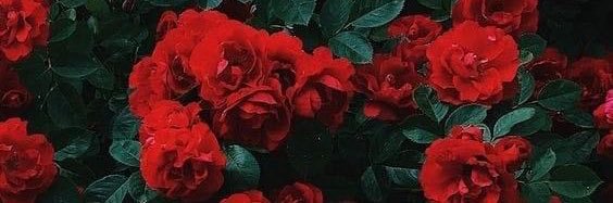 🎈 banner