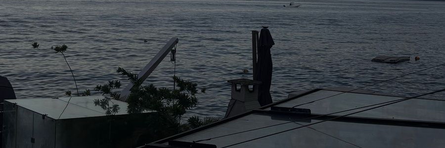 Bushdizz's profile banner image