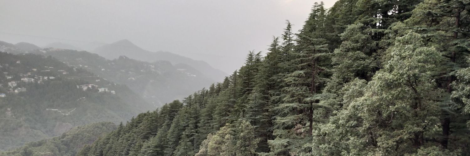 snigzroy's profile banner image