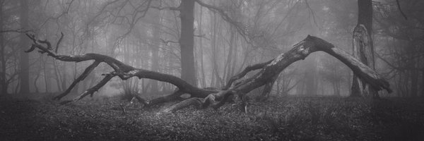 dalechris Profile Banner