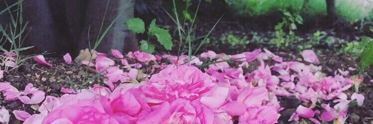 mhaaotaibi's profile banner image