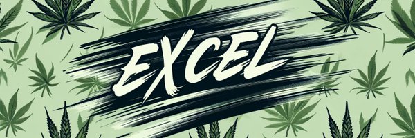 Excel_xlsx Profile Banner
