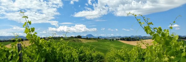 giorgiabarboni Profile Banner
