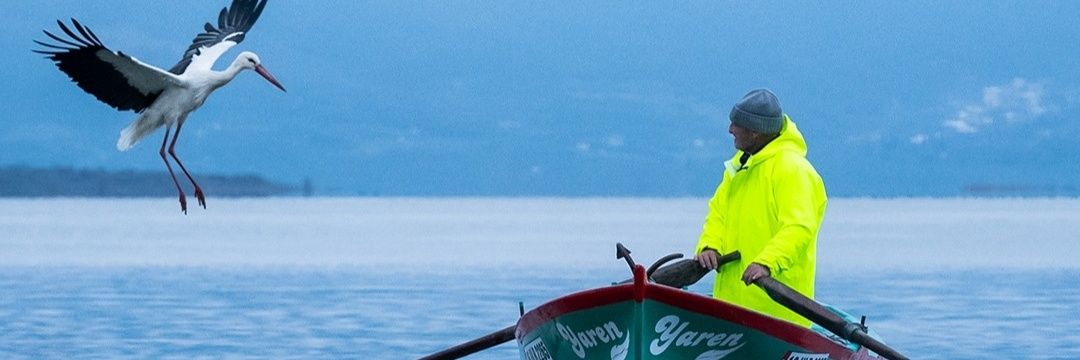 hasanekelik42's profile banner image