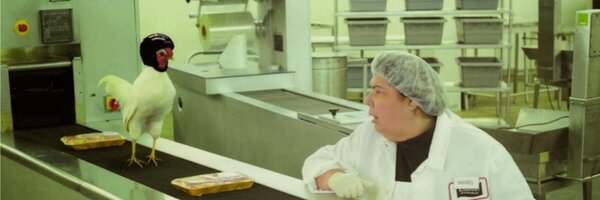 durumcrustulum Profile Banner