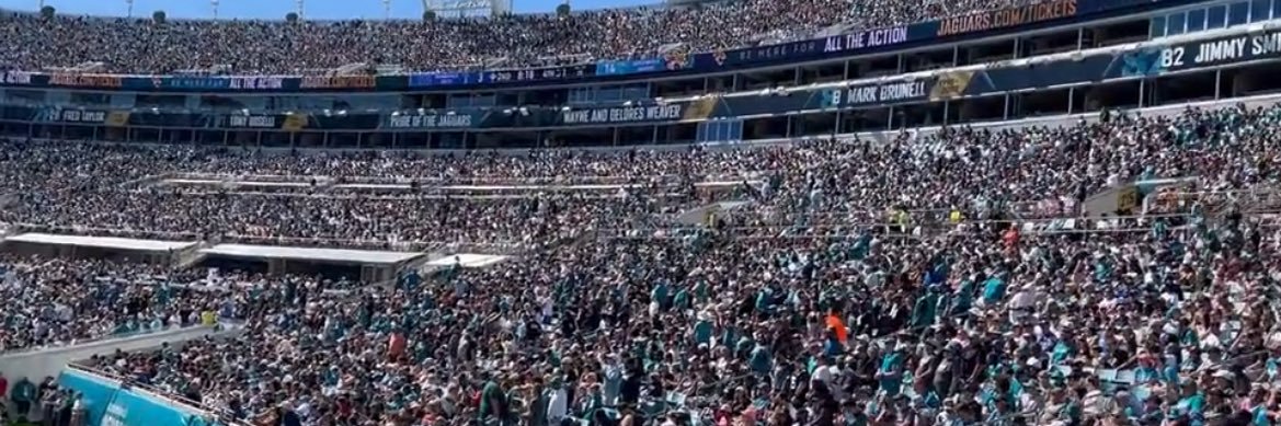 BLEEDTEAL🐆 banner