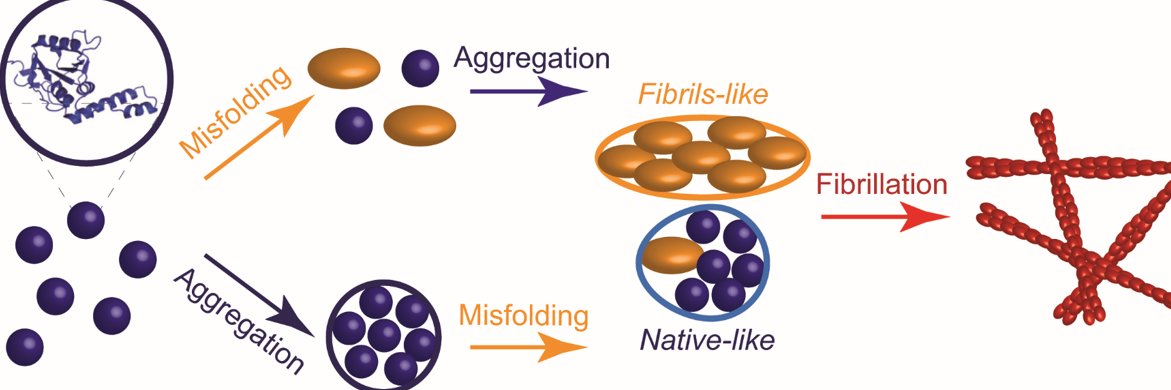 Francesco Simone Ruggeri banner