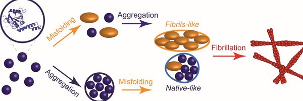 RuggeriLab Profile Banner