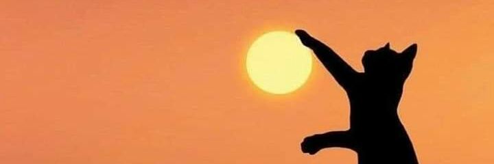 xtingrzn's profile banner image