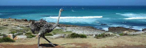 lohhello Profile Banner