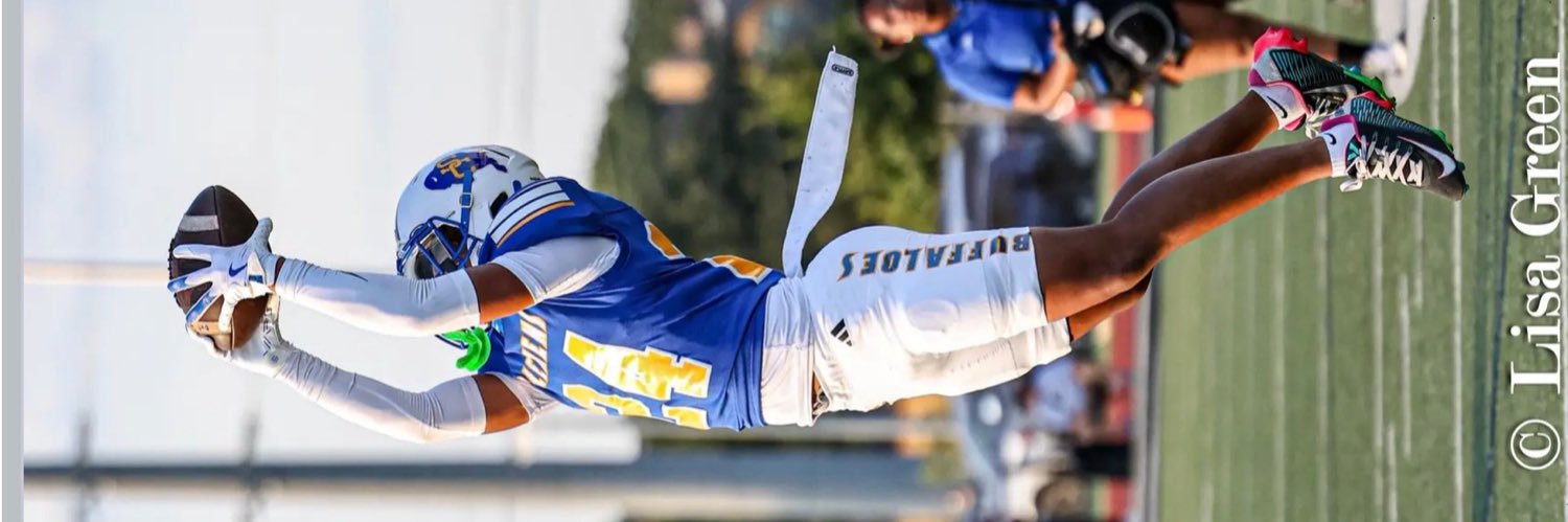 Prestyn Phillips banner