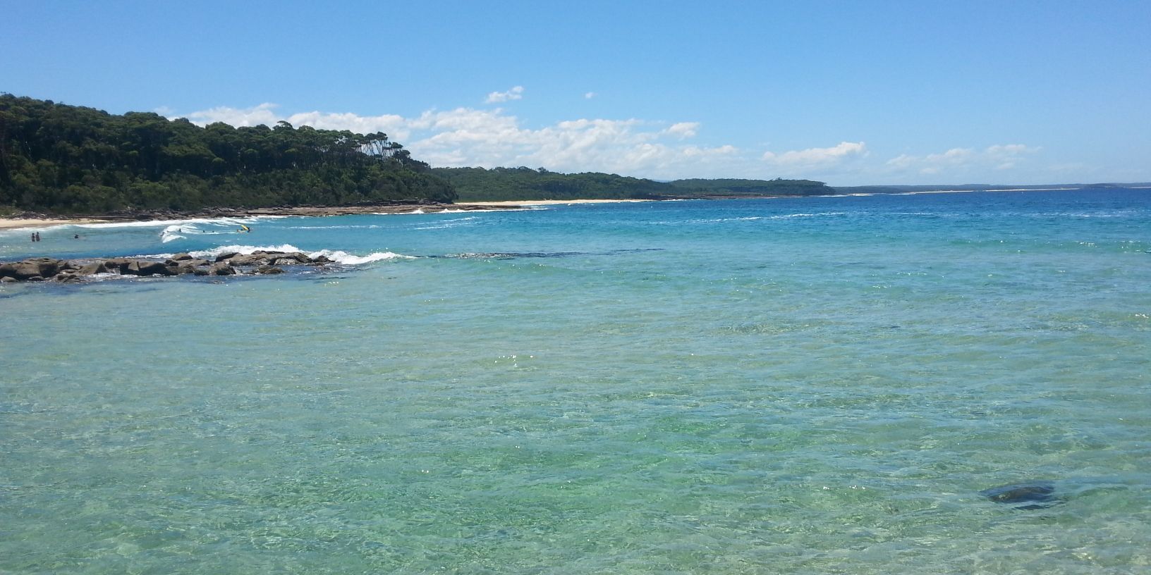 Scott s Davidson banner