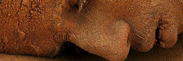Kurt__Bey's profile banner image