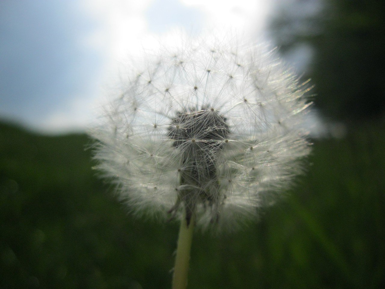 nabila_devia's profile banner image