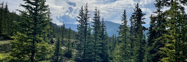 meganclof Profile Banner