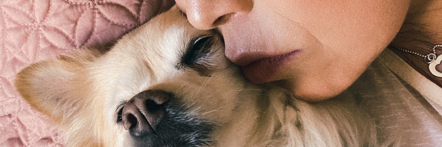 lila. banner