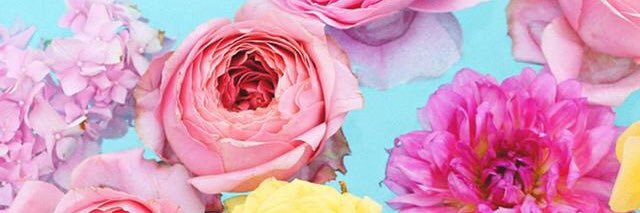 biancasegarra's profile banner image