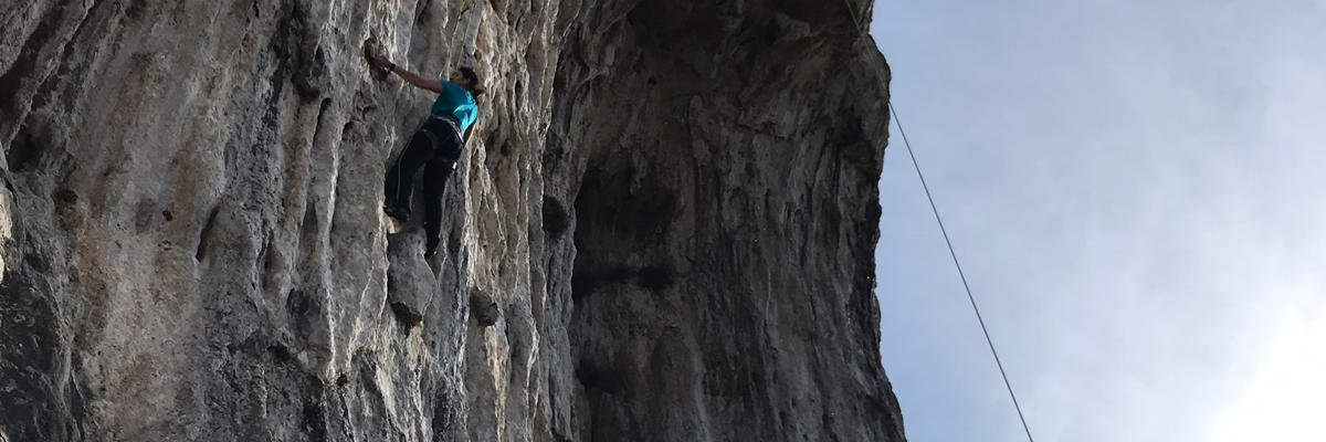 dani matielo banner