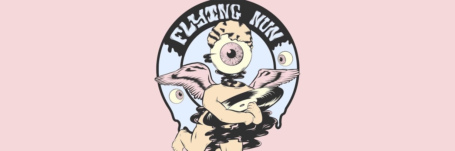 Flying Nun Records banner