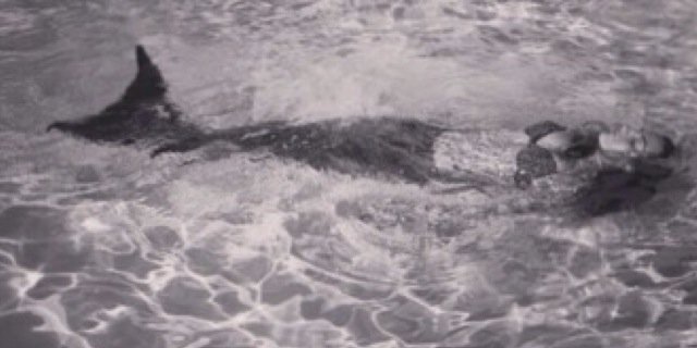 Nora516's profile banner image