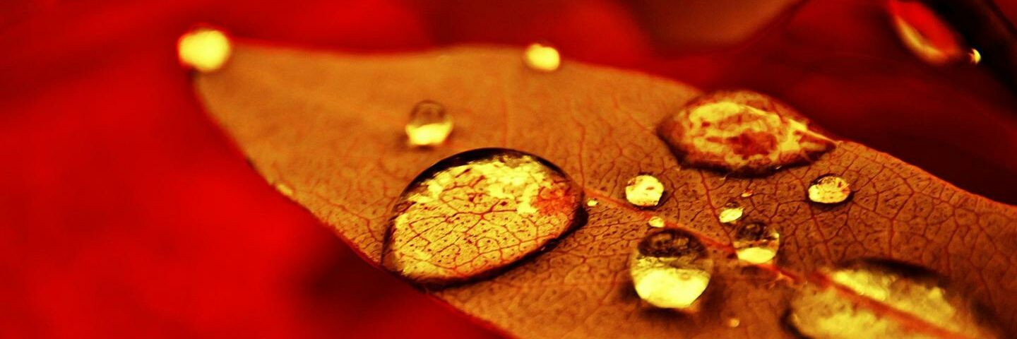 ShindeShashi's profile banner image
