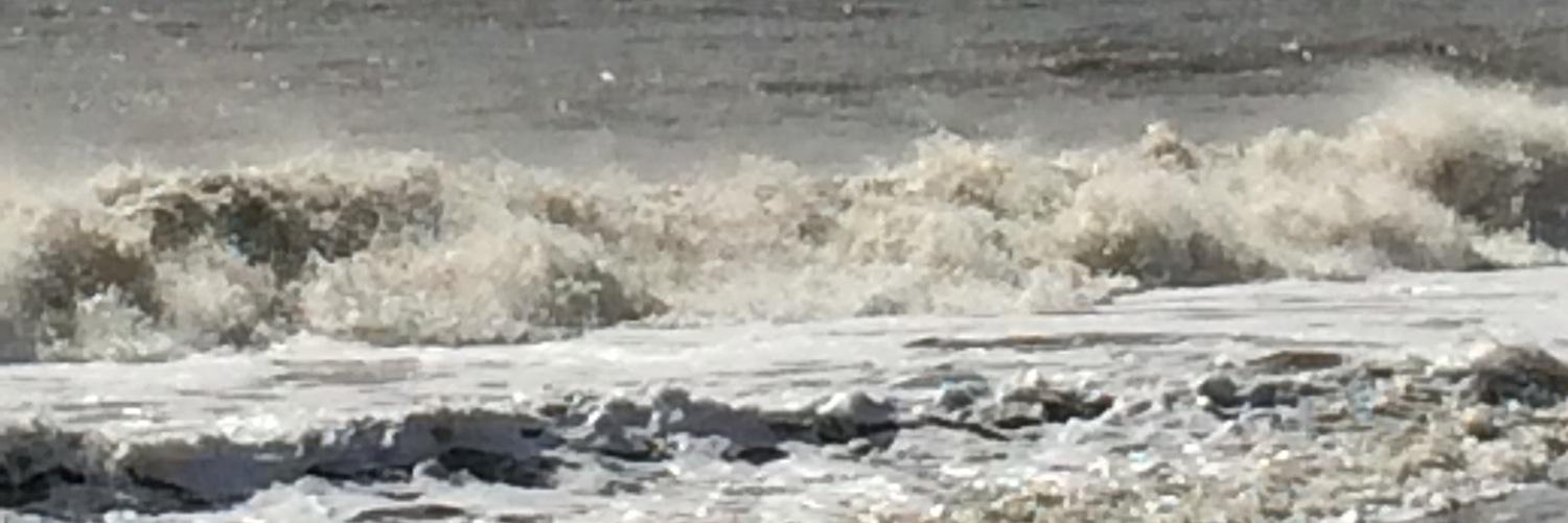 CoastalMediaRay's profile banner image