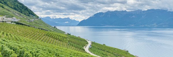 SallyMathiasMD1 Profile Banner