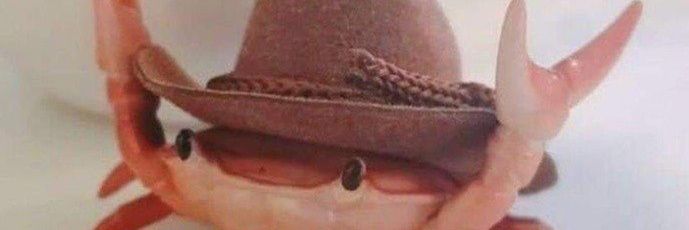 ghambini's profile banner image