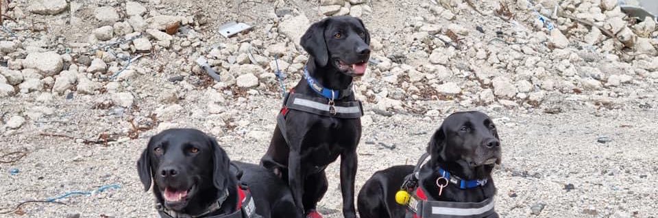 Hants_IOW Fire Dogs banner