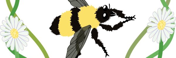 BugmanBurgunder Profile Banner