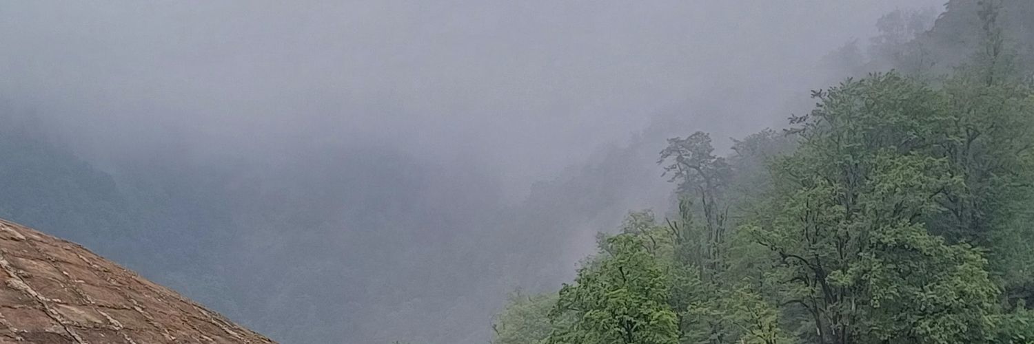 AliKuroshi's profile banner image