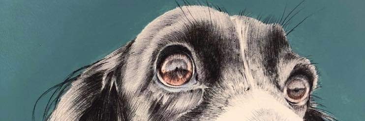 Stephen Woolley banner