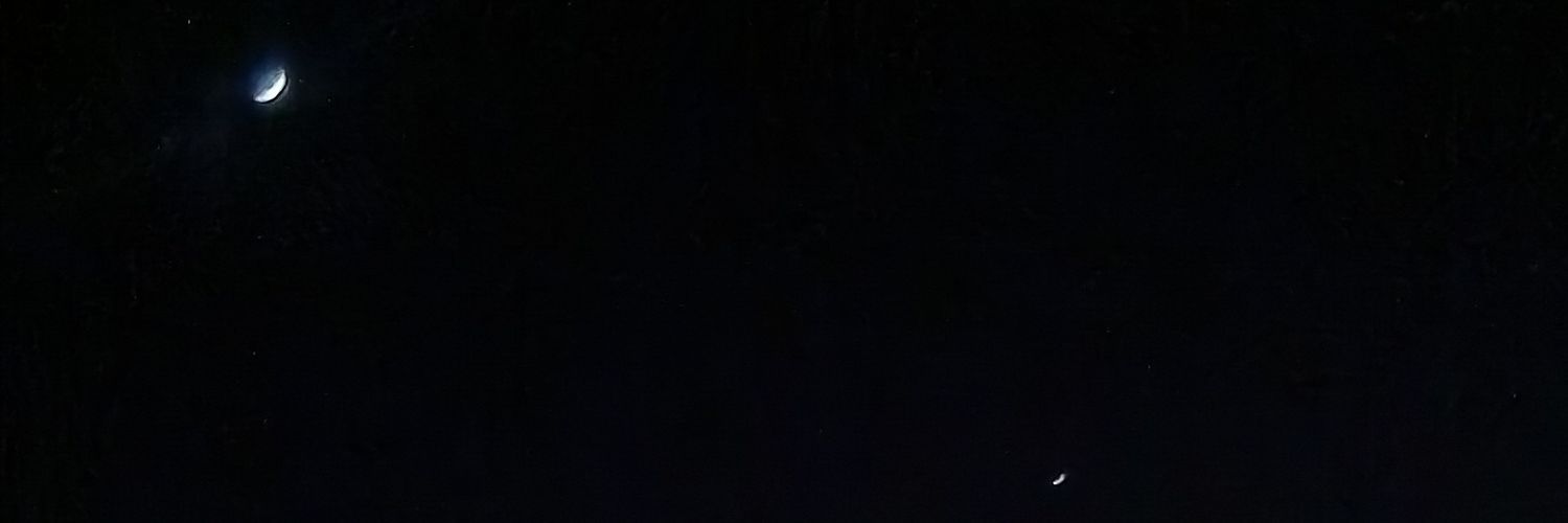 sofiigalvan__'s profile banner image