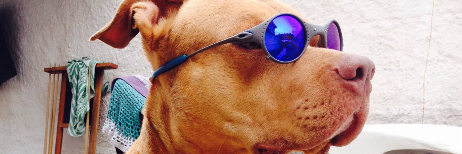 CaiioToledoo's profile banner image