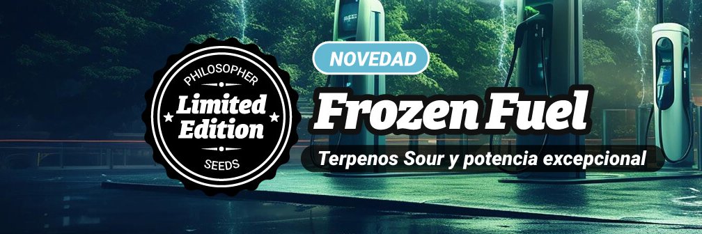 Philosopher Seeds banner