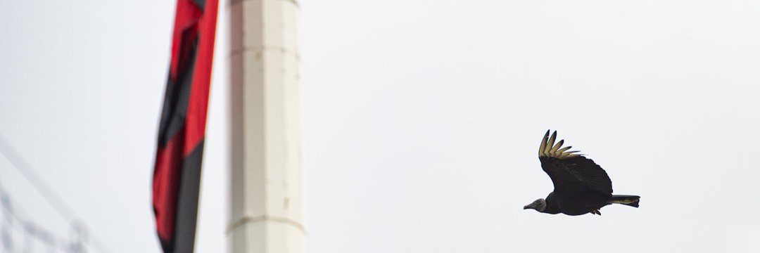 rodrigoarv6's profile banner image
